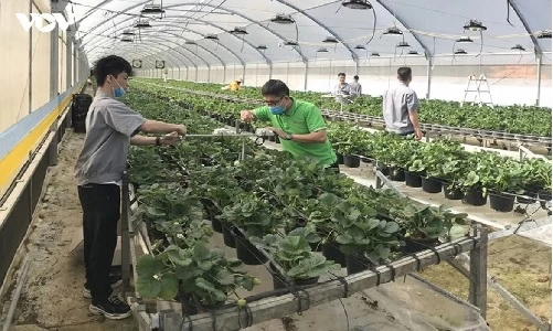 Nghị quyết 57-NQ/TW: Đưa sáng chế khoa học “trong ngăn kéo” vào thực tiễn